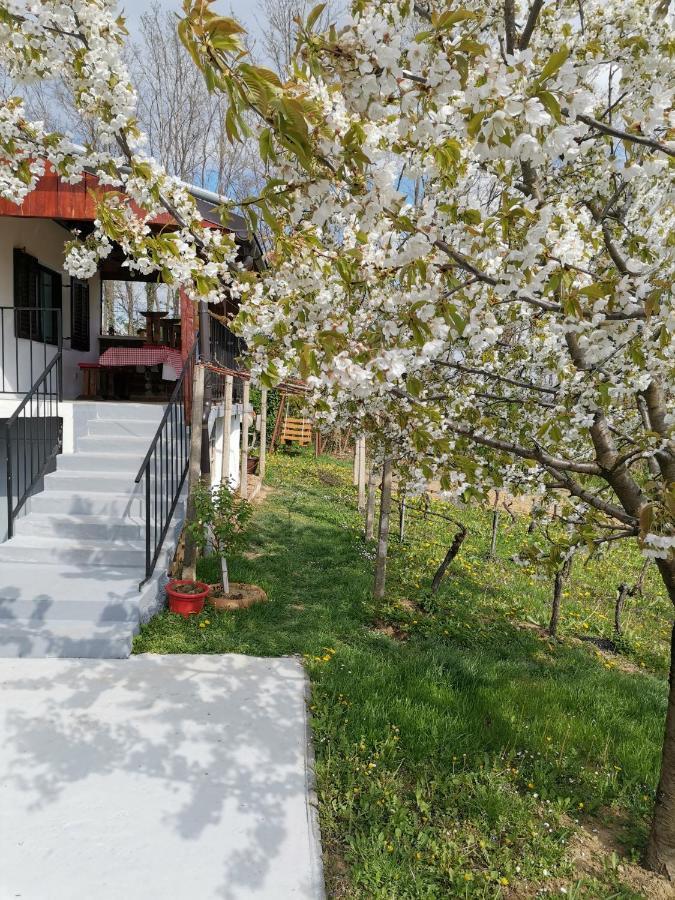 Villa Marijana Varazdinske Toplice Eksteriør bilde