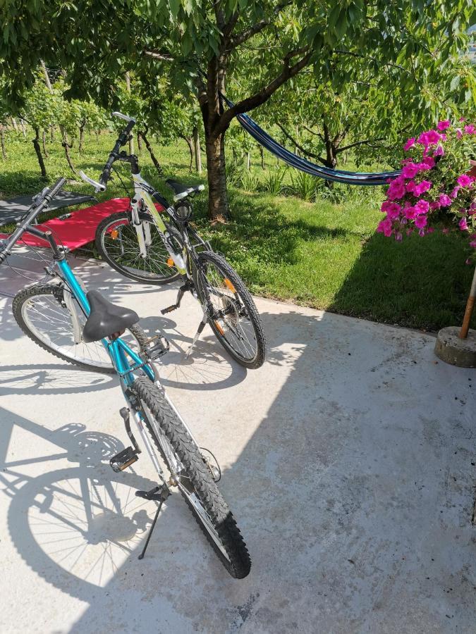 Villa Marijana Varazdinske Toplice Eksteriør bilde