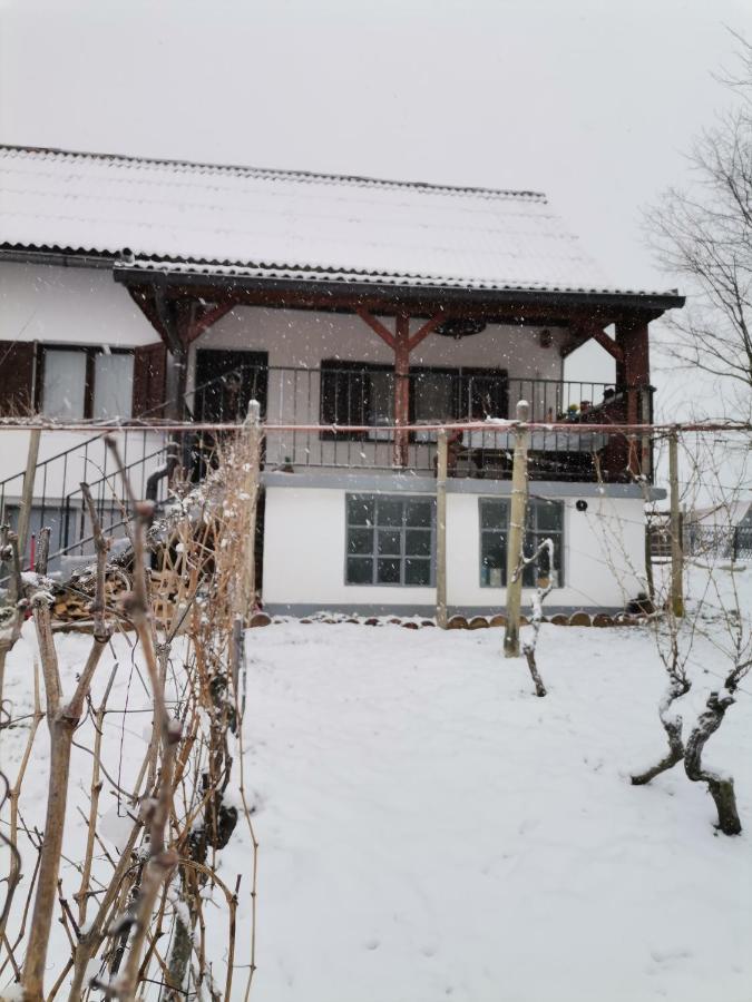 Villa Marijana Varazdinske Toplice Eksteriør bilde