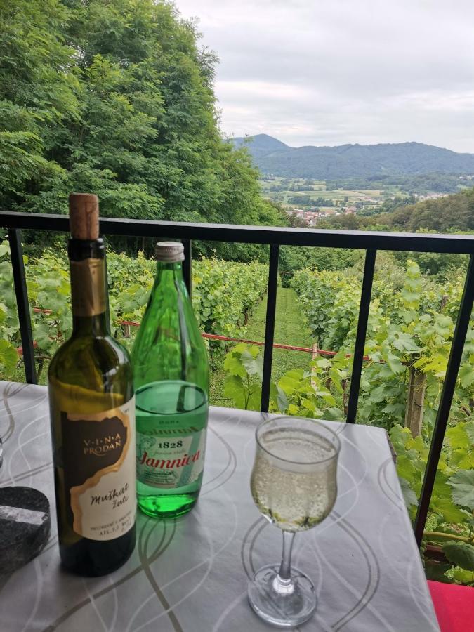 Villa Marijana Varazdinske Toplice Eksteriør bilde