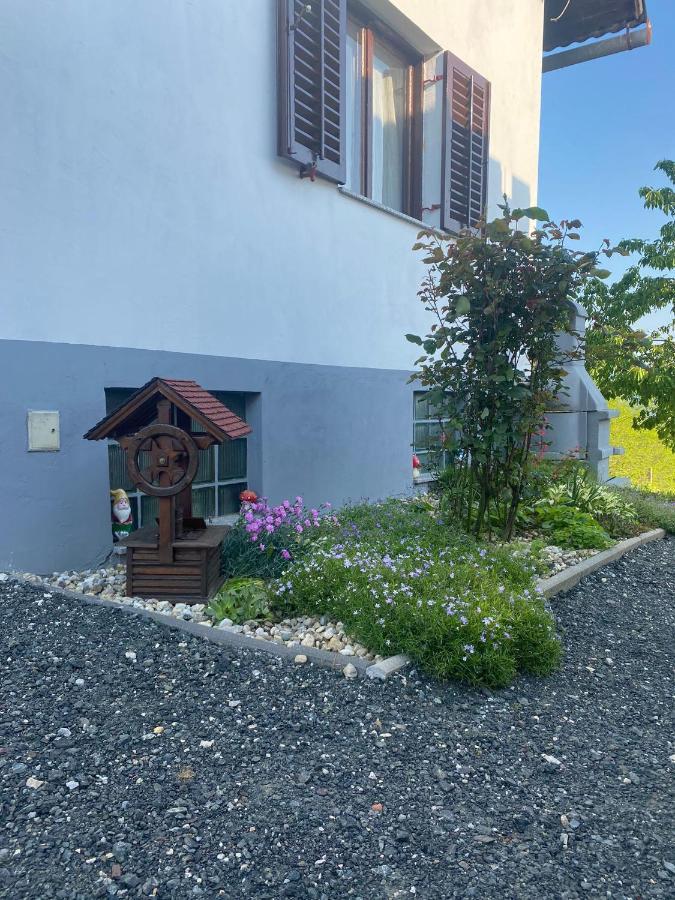 Villa Marijana Varazdinske Toplice Eksteriør bilde